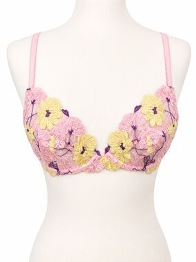 Playful Promises Pink Mesh Floral Embroidered Underwire Bra 40C